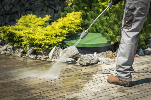 Best Roof Washing  in Pomona Park, FL