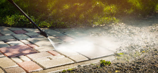 Best Animal Enclosure Cleaning  in Pomona Park, FL