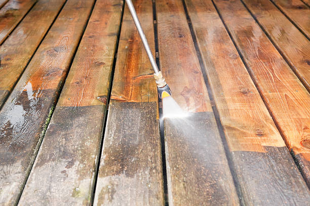 Best Dumpster Area Cleaning  in Pomona Park, FL